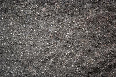 Blackened Topsoil