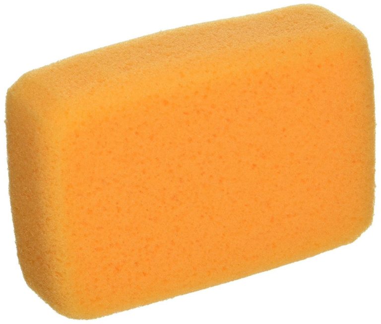 Sponge